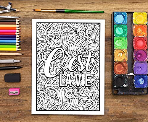 Vie aux RH : Un livre de coloriage sarcastique pour adultes : 50 pages à colorier drôles pour les employés des Ressources Humaines pour se détendre et se soulager du stress - 104 pages Format A4