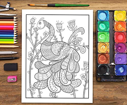 Folklorique : Livre De Coloriage Pour Adultes : Coloriages au style folk - 68 pages Format A4