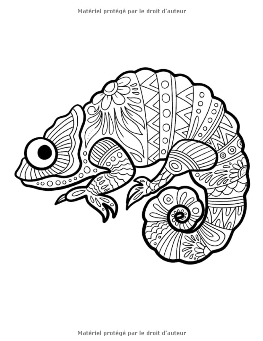 Coloriages Mandalas animaux : 50 animaux pour les enfants de 10 ans et plus - 103 pages Format A4