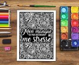 Vie de comptable : Livre de coloriage sarcastique pour adultes, anti-stress pour comptables, conseillers fiscaux et experts comptables - 106 pages Format A4