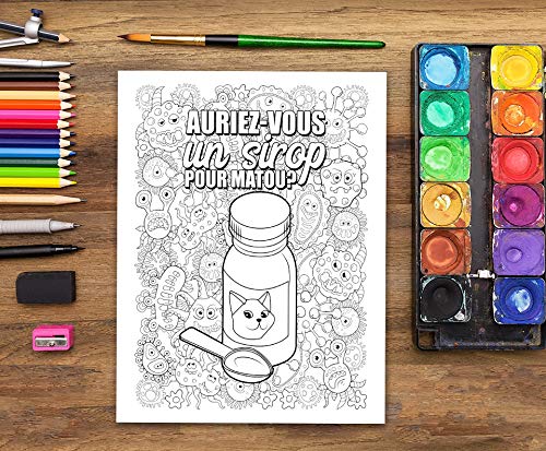 Livre de coloriage anti-stress drôle, original et sarcastique pour pharmaciens et étudiants en pharmacie - 102 pages Format A4