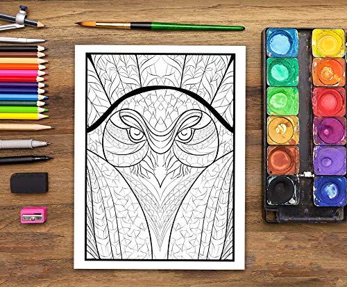 Livre De Coloriage Pour Adultes Nature Sauvage : 35 pages à colorier (poissons, hiboux, cerfs, lamas, paresseux) relaxation et soulagement stress - Format 21,5 x 28 cm