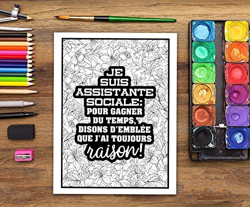 Vie d’assistants sociaux : Un livre de coloriage sarcastique pour adultes: Un livre anti-stress pour les étudiants en assistance de service social et en carrières sociales - 108 pages Format A4