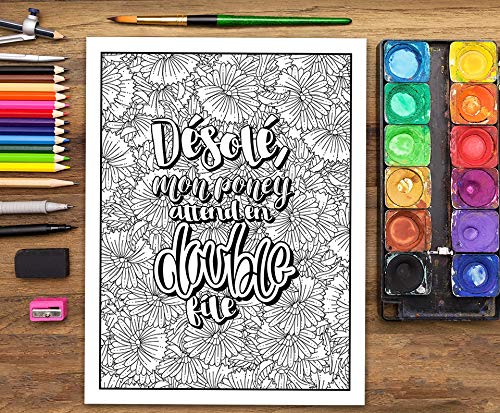 Livre de coloriage décalé pour adultes - 76 pages Format A4