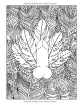 Les pénis : un livre de coloriage pour adultes - 92 pages Format A4