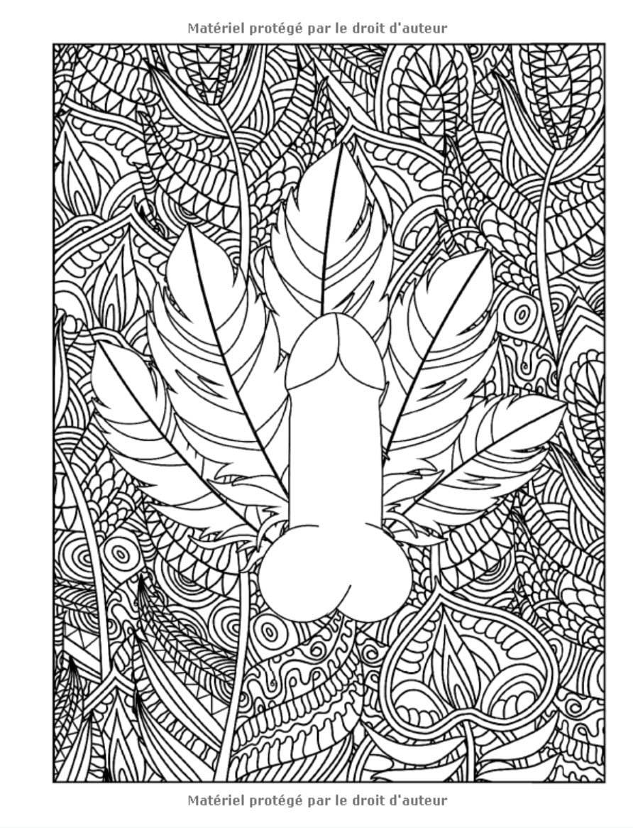 Les pénis : un livre de coloriage pour adultes - 92 pages Format A4