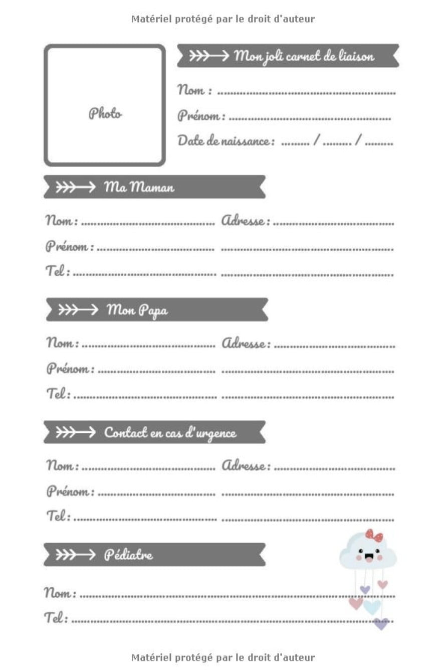 CARNET LIAISON NOUNOU : cahier de transmissions nounou parents pour faciliter la communication au quotidien - 100 pages Format 15 x 22 cm