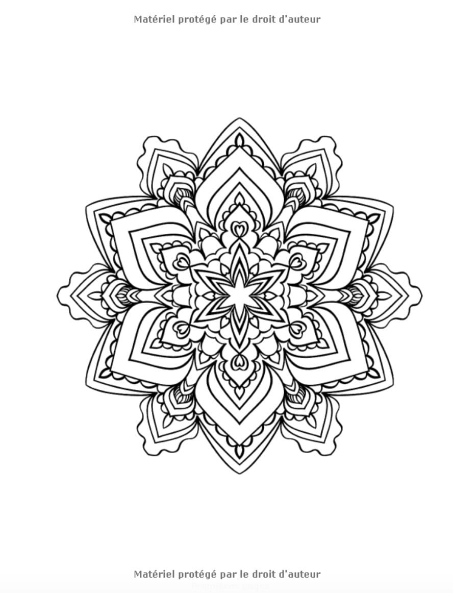 50 Mandalas Anti-stress (Volume 3) Livre de Coloriage pour Adultes : 50 Magnifiques Mandalas à Colorier - 103 pages Format A4
