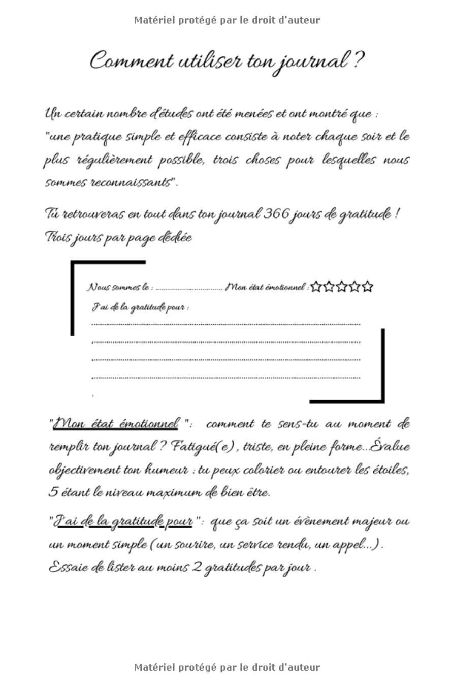 Mon journal de GRATITUDE chaque jour est une opportunité : Carnet de GRATITUDE à remplir, 366 jours de gratitude - 153 pages Format 15 x 22 cm