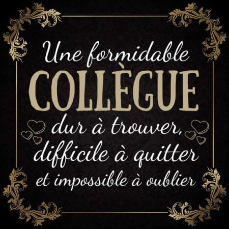 livre d'or retraite depart collegue Travail femme , cadeau depart retraite humoristique , à compléter de messages et photos - 100 pages Format 21 x 21 cm