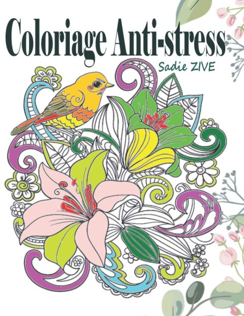 Coloriage Anti-stress : Livre de coloriage adulte anti-stress avec 75 dessins pour adultes - 76 pages Format A4