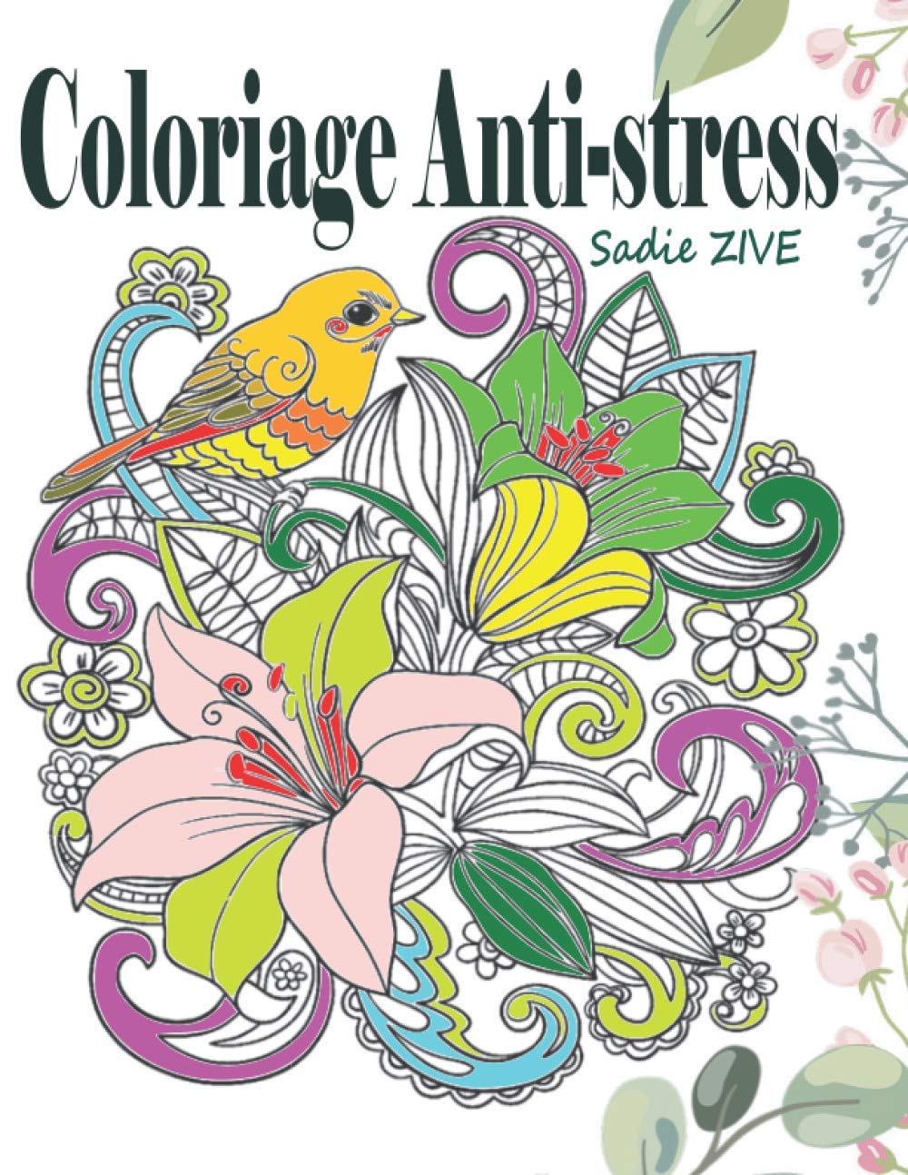 Coloriage Anti-stress : Livre de coloriage adulte anti-stress avec 75 dessins pour adultes - 76 pages Format A4