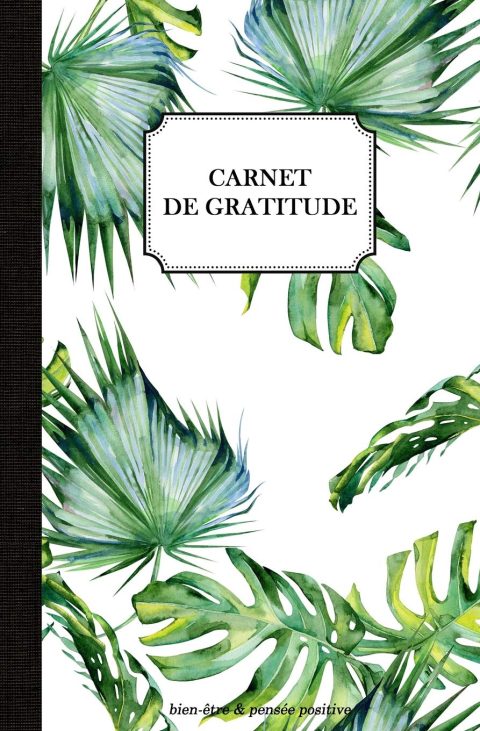 Carnet de gratitude: journal de bien-être & pensée positive - 100 pages Format 13 x 20 cm