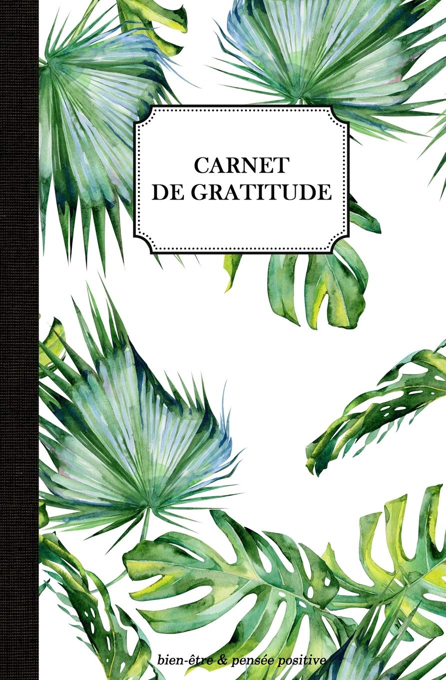 Carnet de gratitude: journal de bien-être & pensée positive - 100 pages Format 13 x 20 cm