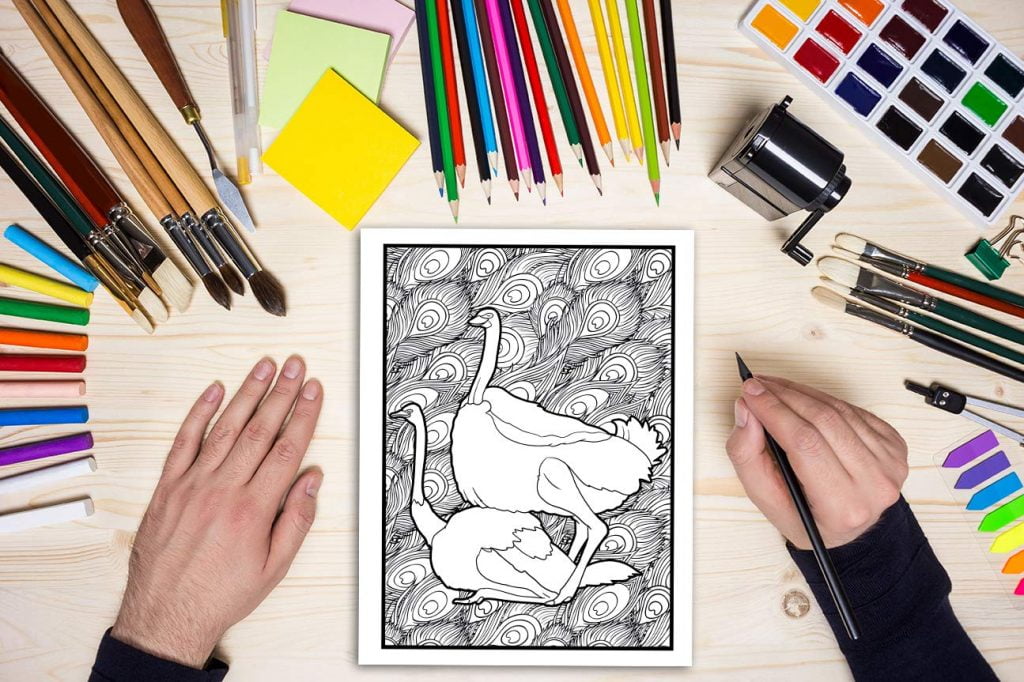 Les animaux s'envoient en l'air : Un livre de coloriage cru pour adultes - 31 pages drôles à colorier représentant éléphants, chiens, chats, singes - 68 pages Format A4
