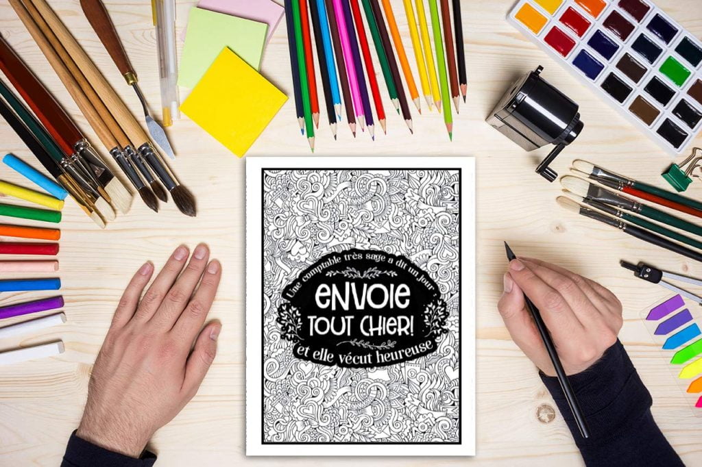 Livre de coloriage grossier pour comptables : Livre de coloriage pour adultes - 52 pages à colorier - Format A4