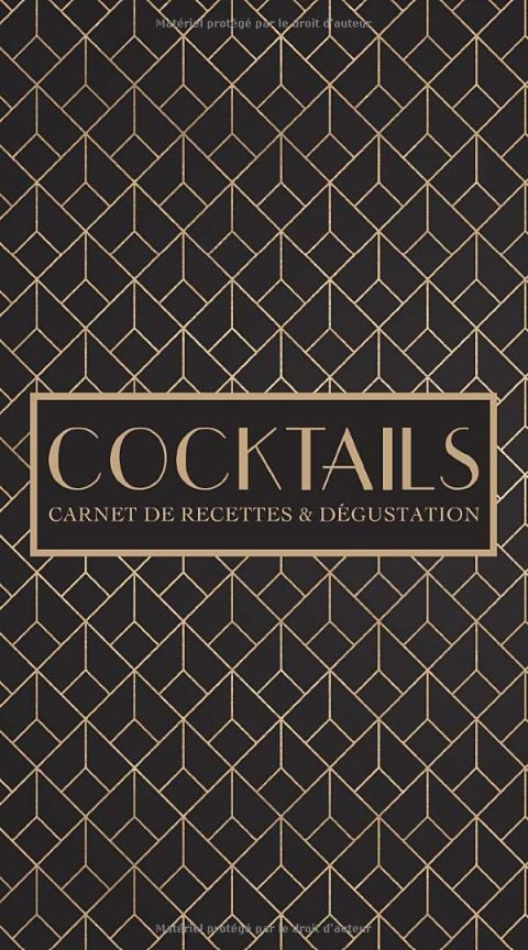 Cocktails : Carnet de recettes & dégustation - 108 pages Format 12x23 cm