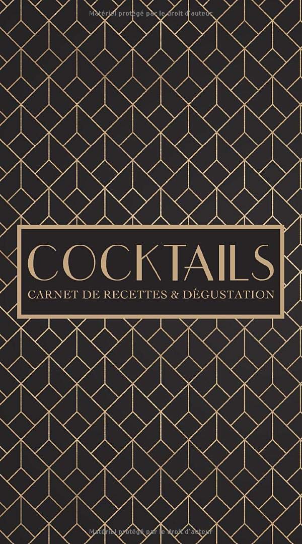 Cocktails : Carnet de recettes & dégustation - 108 pages Format 12x23 cm