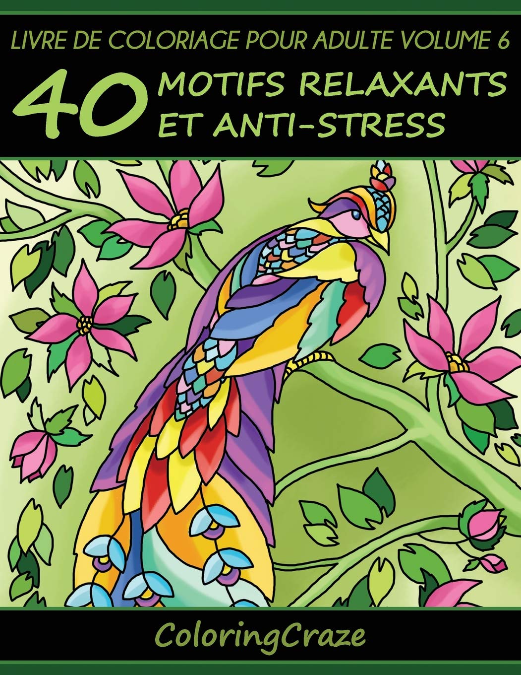 Livre de coloriage pour adulte Volume 6 : 40 motifs relaxants et anti-stress - 89 pages Format A4