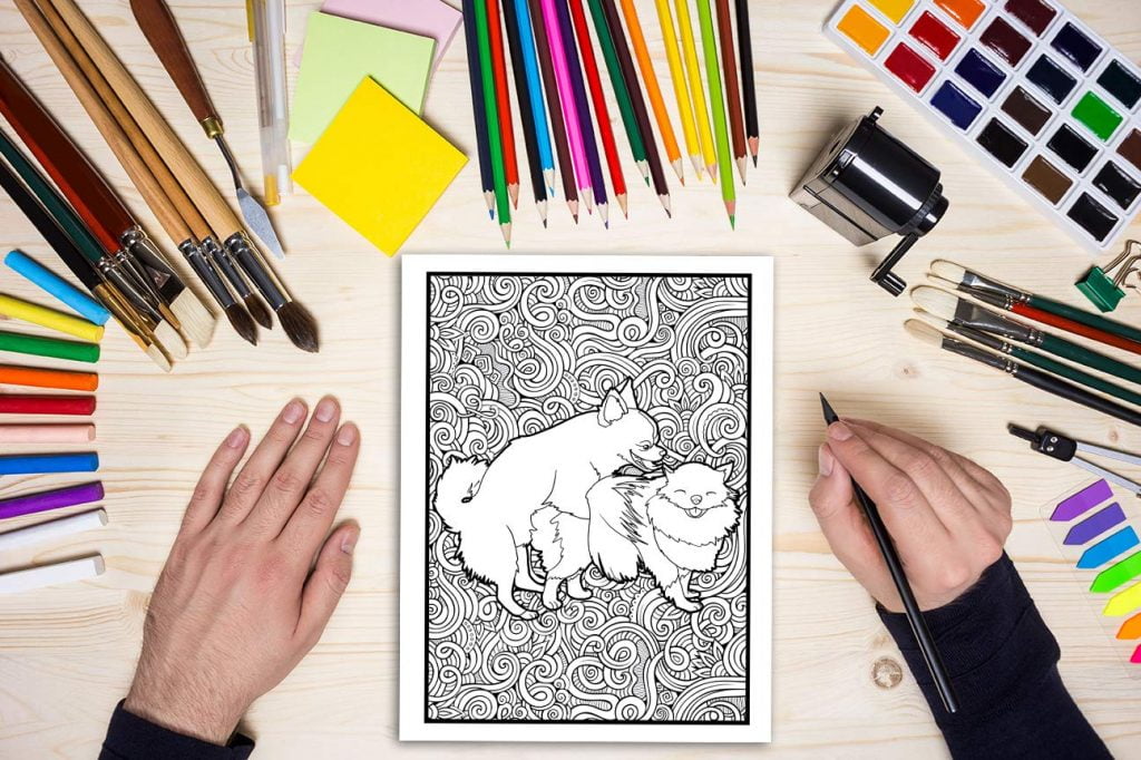 Les animaux s'envoient en l'air : Un livre de coloriage cru pour adultes - 31 pages drôles à colorier représentant éléphants, chiens, chats, singes - 68 pages Format A4