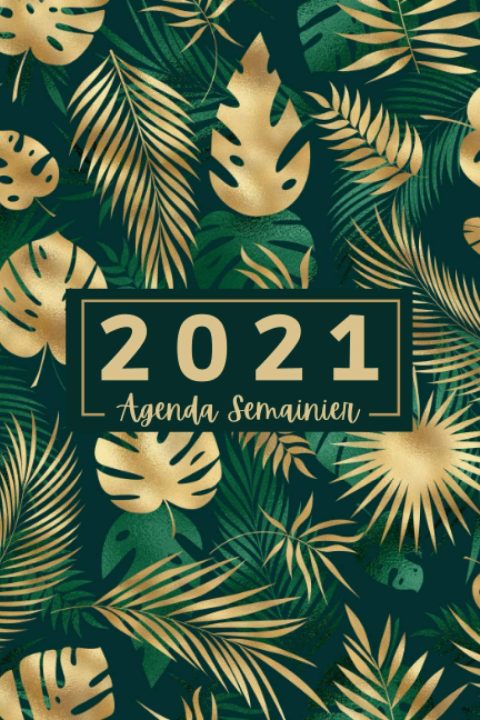 Agenda Semainier 2021 : A5 - Janvier à Decembre 2021 - Planner Organisateur Planificateur - 146 pages Format 15 x 24 cm