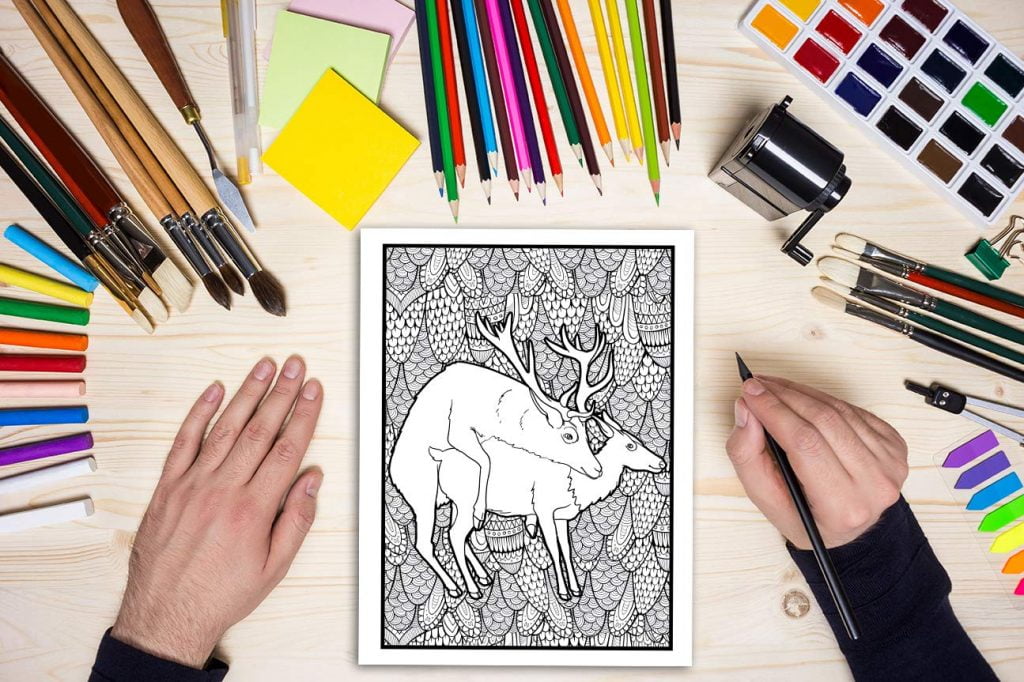 Les animaux s'envoient en l'air : Un livre de coloriage cru pour adultes - 31 pages drôles à colorier représentant éléphants, chiens, chats, singes - 68 pages Format A4
