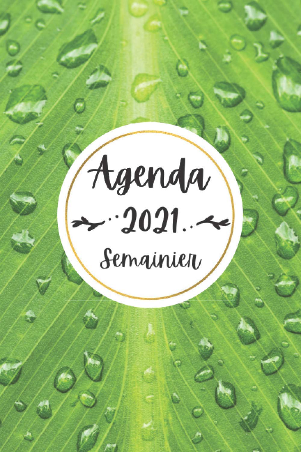 Agenda 2021 Semainier - Simple Agenda de poche A5 | Annuel Francais Semainier | Janvier 2021 à Décembre 2021 | 142 pages