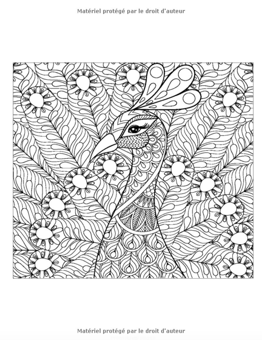 Mandalas Zen - Livre de coloriage anti-stress pour adultes : 60 magnifiques Mandalas pour adultes à colorier - 121 pages Format A4