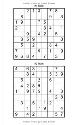 SuDoKu adulte Niveau facile - moyen - difficile - diabolique - Format poche - 192 grilles - 112 pages Format 12,7 x 20 cm