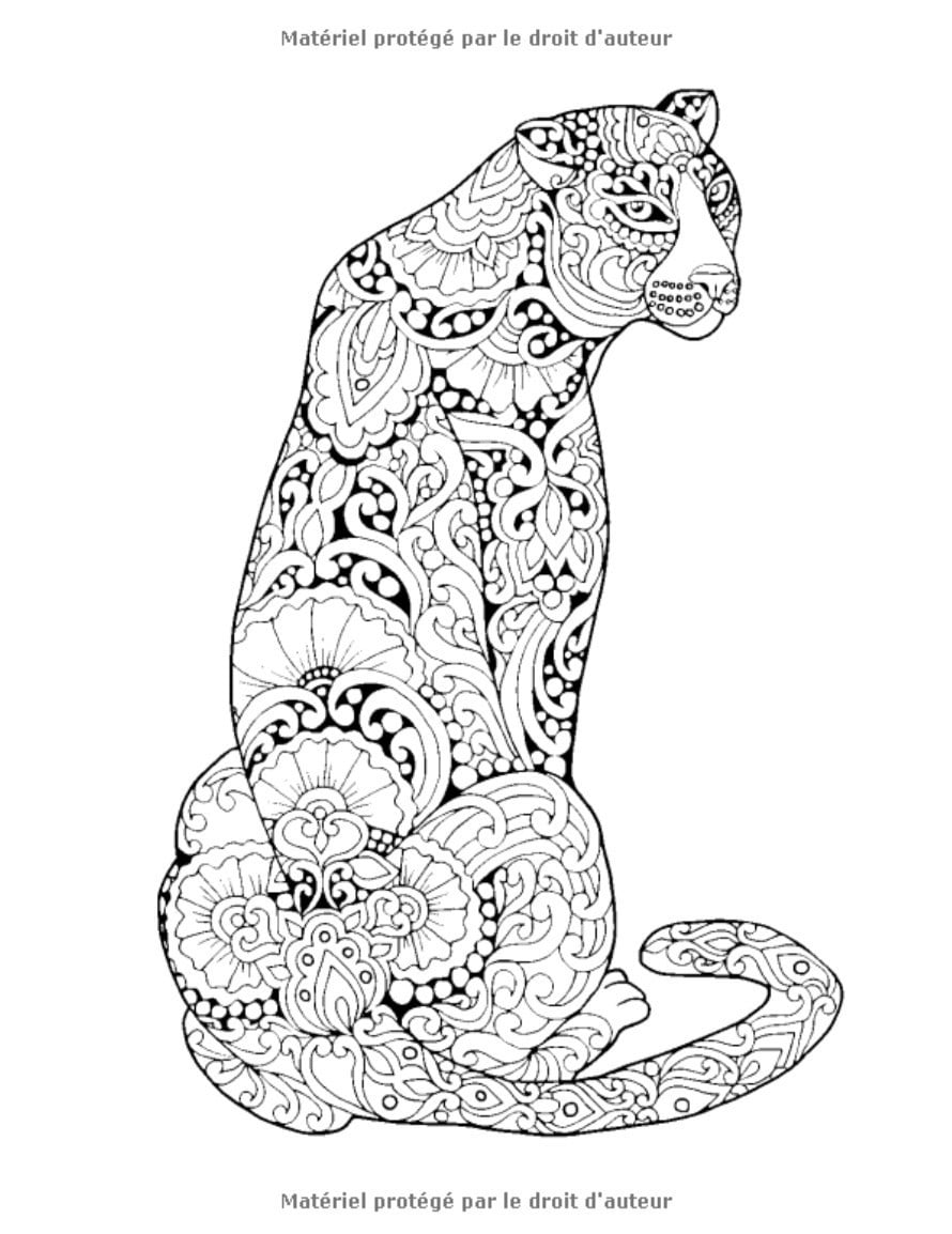 60 Mandalas Animaux (Volume 1) Coloriage Anti-Stress pour Adultes - 123 pages Format A4