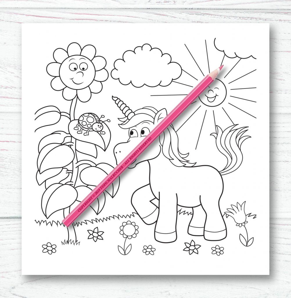 Licornes Livre de coloriage pour enfants et adultes - Format 21,5 x 21,5 cm - 66 pages