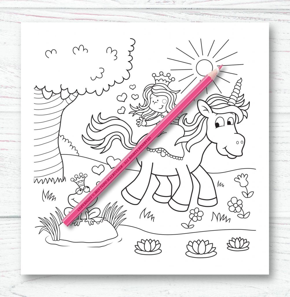 Licornes Livre de coloriage pour enfants et adultes - Format 21,5 x 21,5 cm - 66 pages