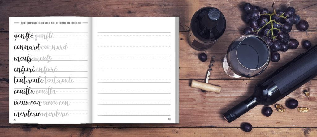 Dégage, je fais du p*tain de lettrage : Lettrage et calligraphie moderne pour débutants et créatifs - 106 pages Format A4