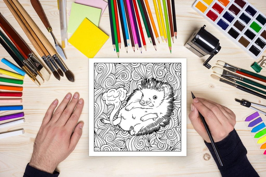 Je pue du c*l - Livre de coloriage pour les animaux qui pètent - 70 pages Format 21,5 x 21,5 cm