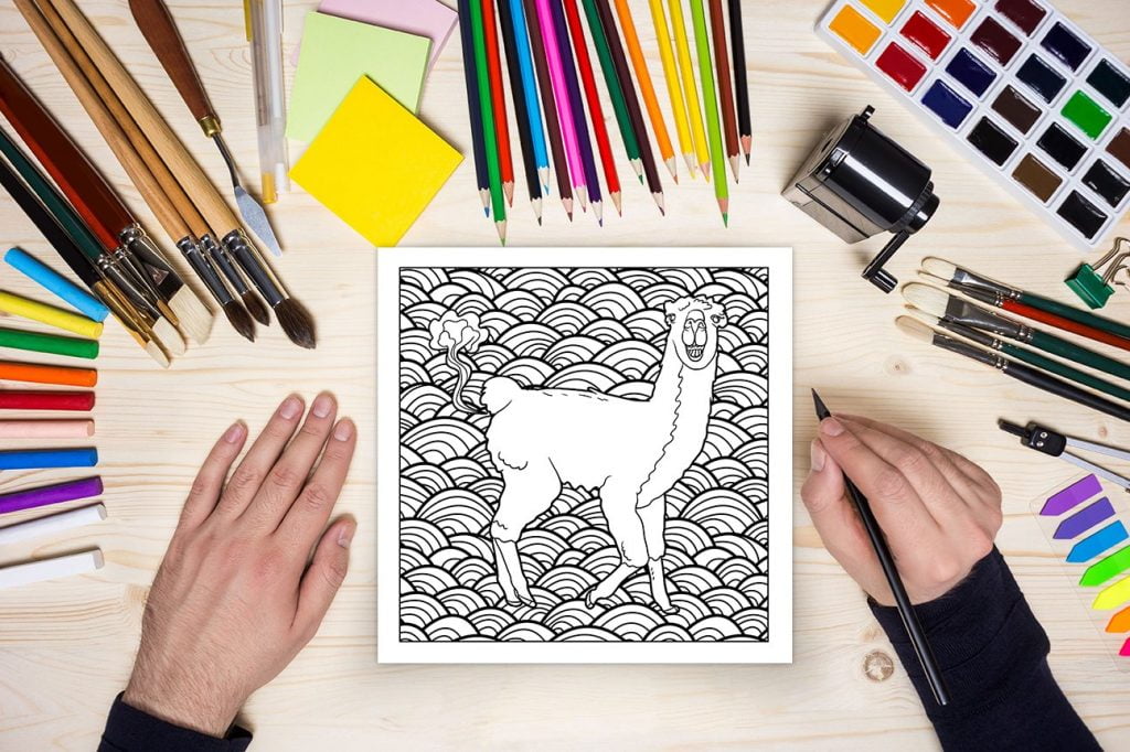Je pue du c*l - Livre de coloriage pour les animaux qui pètent - 70 pages Format 21,5 x 21,5 cm