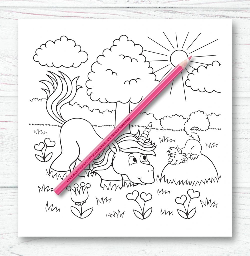 Licornes Livre de coloriage pour enfants et adultes - Format 21,5 x 21,5 cm - 66 pages