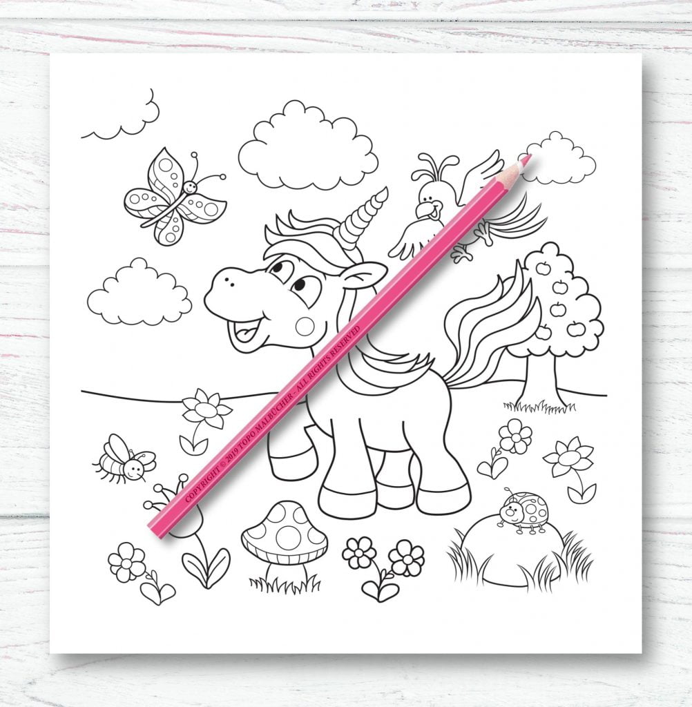 Licornes Livre de coloriage mandala - 60 belles licornes - 126 pages Format A4
