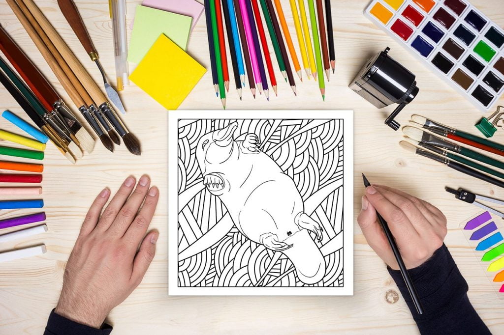 Fesses de animaux : un livre de coloriage pour les amoureux des animaux - 76 pages Format 21,5 x 21,5 cm
