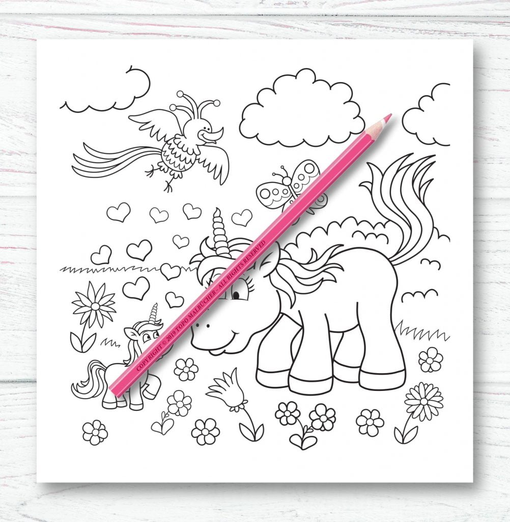 Licornes Livre de coloriage pour enfants et adultes - Format 21,5 x 21,5 cm - 66 pages
