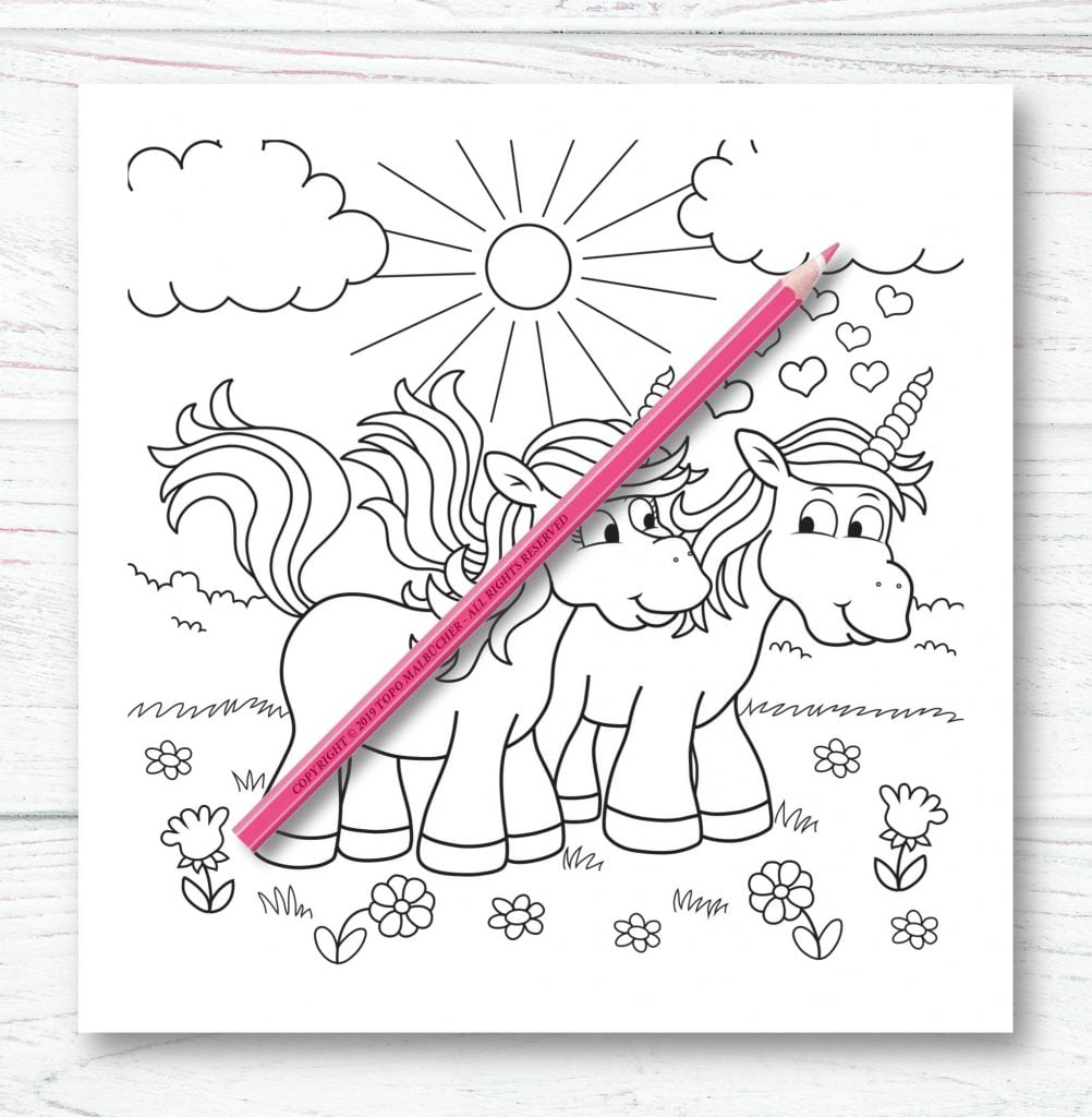 Licornes Livre de coloriage pour enfants et adultes - Format 21,5 x 21,5 cm - 66 pages
