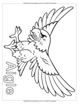 Alphabet Animaux Livre de coloriage : 100 Grands dessin d'animaux, de fruits et de légumes a colorier pour apprendre l'alphabet - 94 pages Format 21,5 x 28 cm