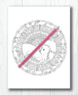 Licornes Livre de coloriage mandala - 60 belles licornes - 126 pages Format A4