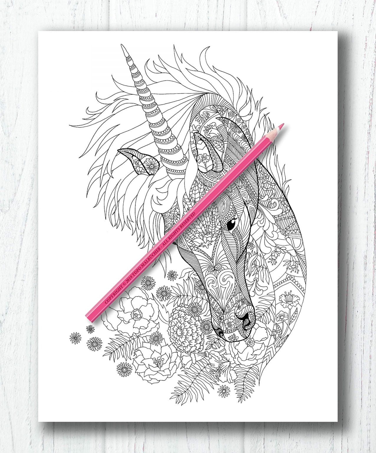 Licornes Livre de coloriage mandala - 60 belles licornes - 126 pages Format A4