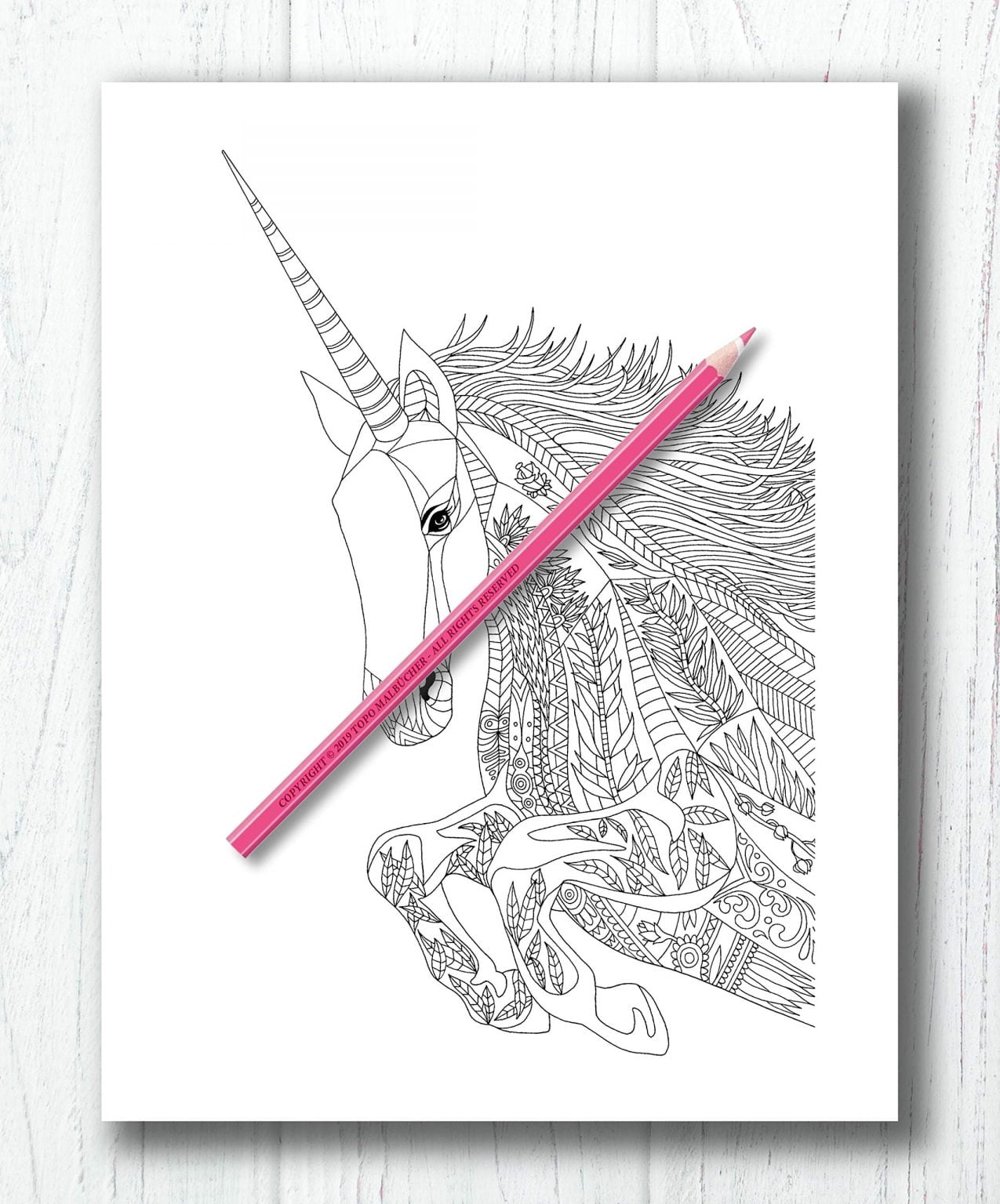 Licornes Livre de coloriage mandala - 60 belles licornes - 126 pages Format A4
