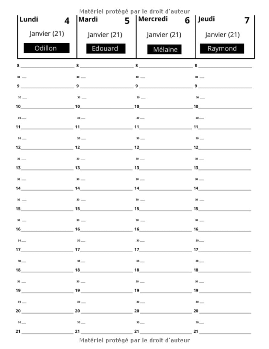 Agenda 2021 | agenda semainier | Planning professionnel | 109 pages Format 21,5 x 28 cm