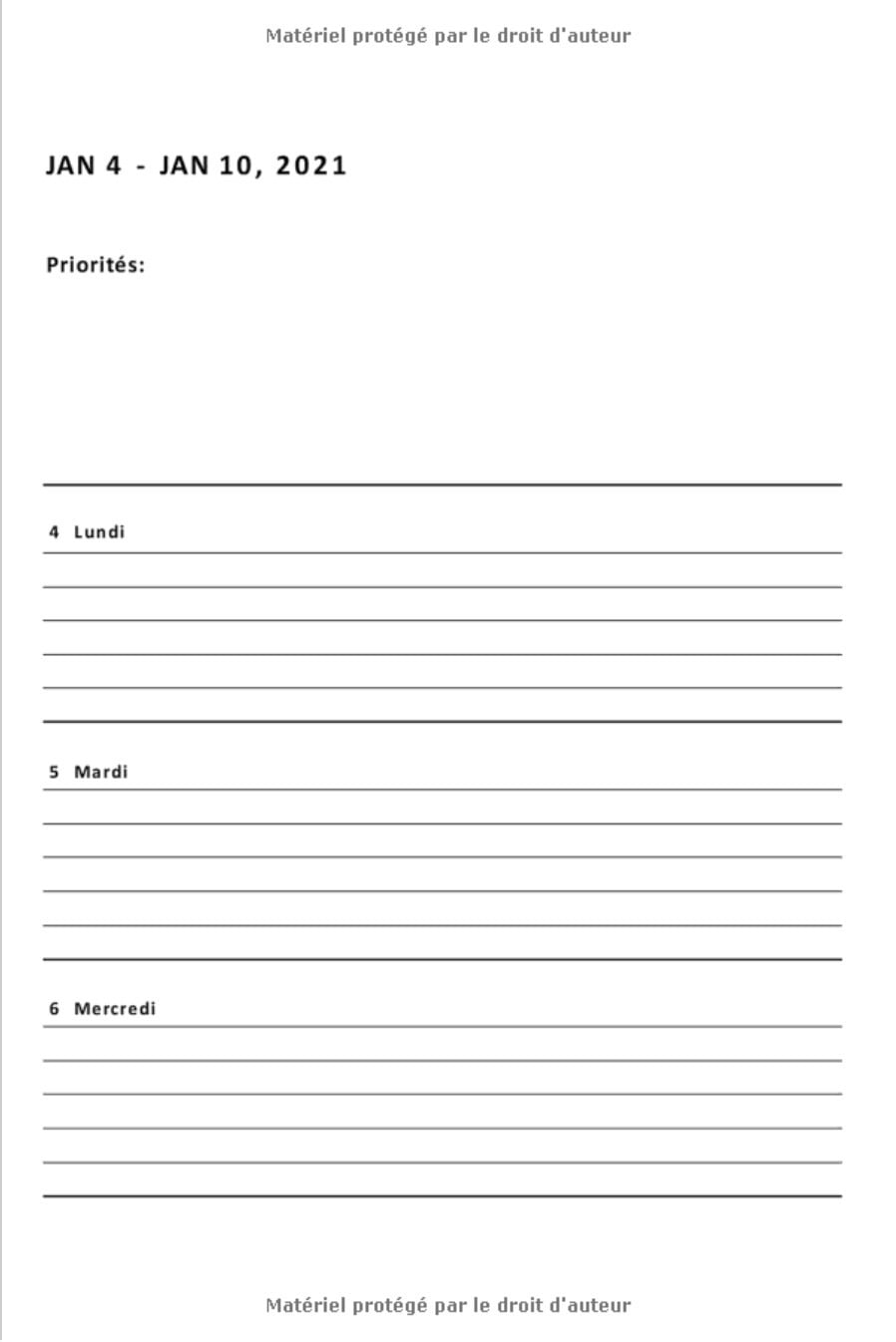 Agenda 2021 Semainier - Agenda Professionnel Annuel Francais Journalier A5 | Janvier 2021 à Décembre 2021 | 142 pages