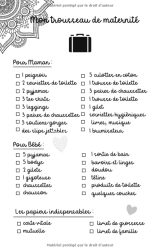 Journal de Grossesse - Carnet à compléte r: 9 mois de suivi pour attendre Bébé - 87 pages Format 14 x 21,5 cm