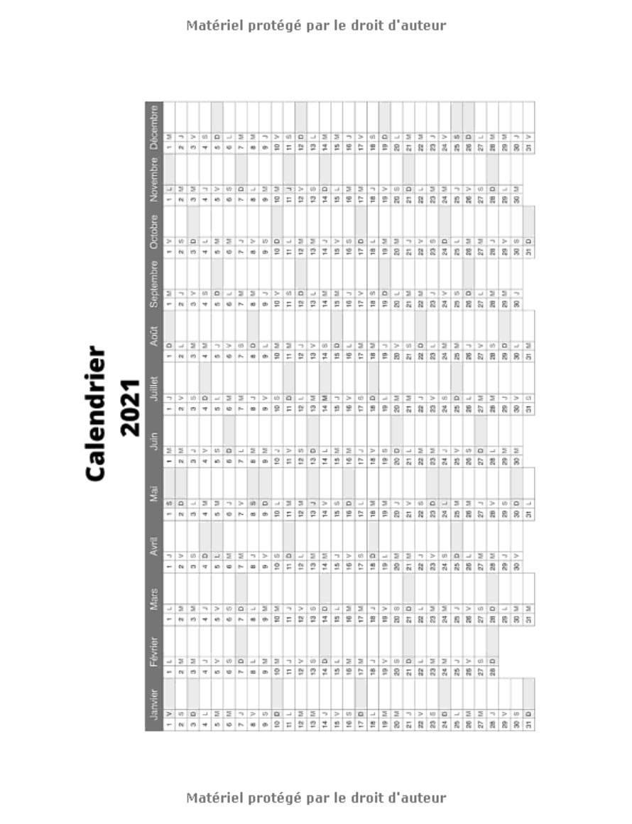 Agenda 2021 | agenda semainier | Planning professionnel | 109 pages Format 21,5 x 28 cm