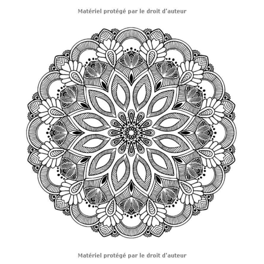 80 MANDALAS format XXL - Livre de COLORIAGE anti-stress et relaxant / 80 MANDALAS authentiques UNIQUES à colorier - 164 pages Format 21,5 x 21,5 cm