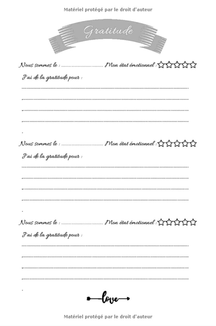 Mon journal de GRATITUDE chaque jour est une opportunité : Carnet de GRATITUDE à remplir, 366 jours de gratitude - 153 pages Format 15 x 22 cm